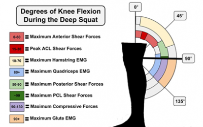 Warm-Ups for Runners, Squat Depth, Ankle / Foot Care & more – Health & Fitness Round Up